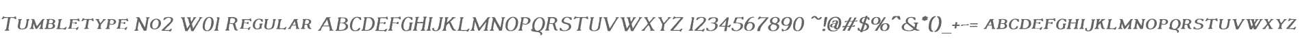 Tumbletype No2 W01 Regular