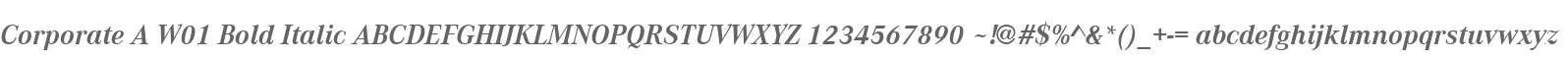 Corporate A W01 Bold Italic