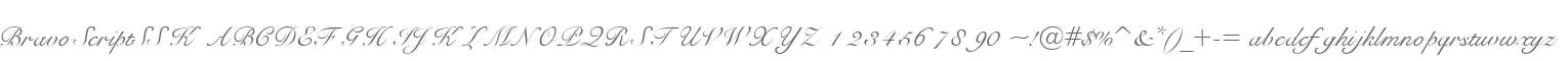 BravoScriptSSK