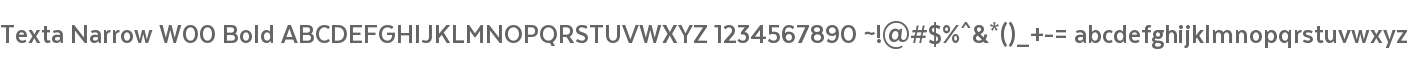 Texta Narrow W00 Bold