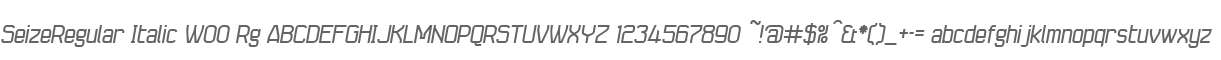 SeizeRegular Italic W00 Rg