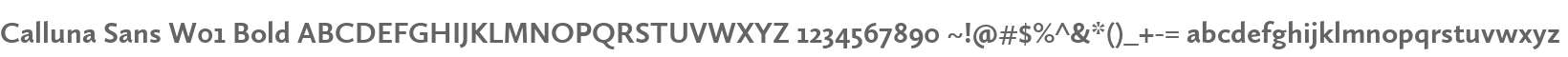 Calluna Sans W01 Bold