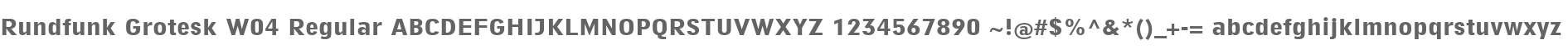 Rundfunk Grotesk W04 Regular