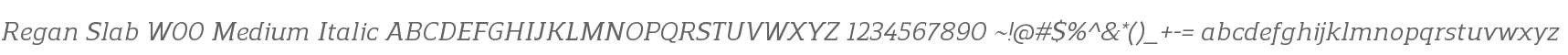 Regan Slab W00 Medium Italic