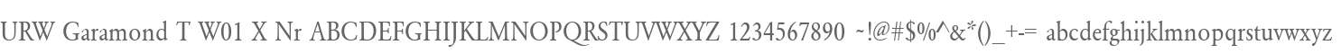 URW Garamond T W01 X Nr
