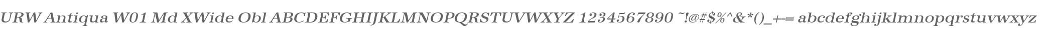 URW Antiqua W01 Md XWide Obl