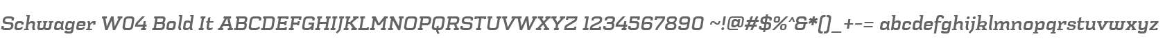 Schwager W04 Bold It