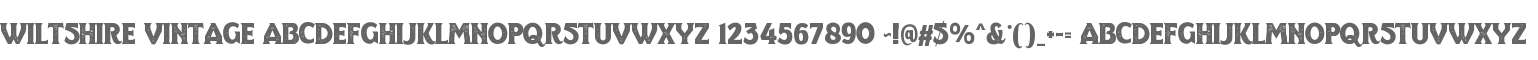 Wiltshire Vintage