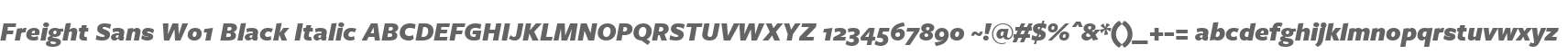 Freight Sans W01 Black Italic