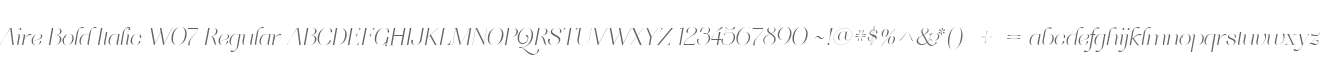 Aire Bold Italic W07 Regular