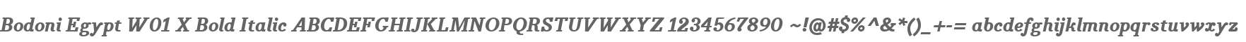 Bodoni Egypt W01 X Bold Italic