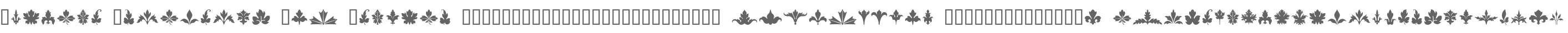 Foliage Ornaments W95 Regular