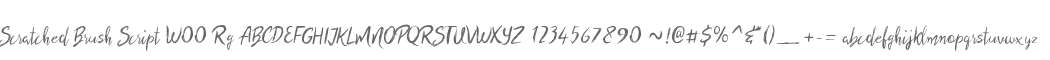 Scratched Brush Script W00 Rg