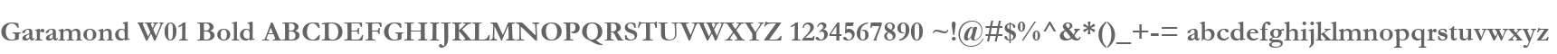 Garamond W01 Bold