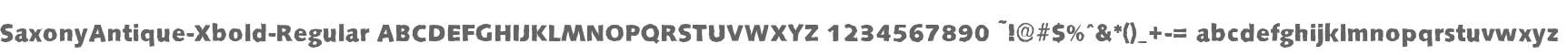 SaxonyAntique-Xbold-Regular