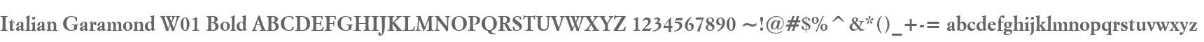 Italian Garamond W01 Bold