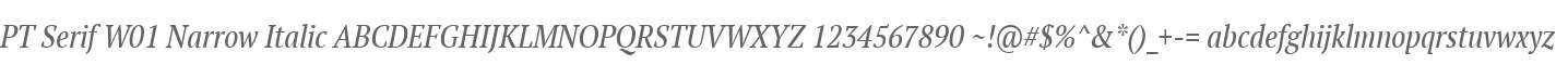 PT Serif W01 Narrow Italic