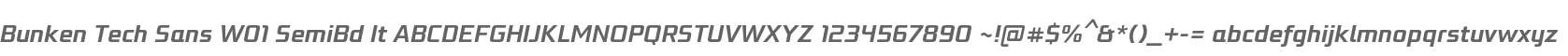 Bunken Tech Sans W01 SemiBd It