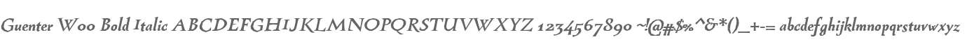 Guenter W00 Bold Italic