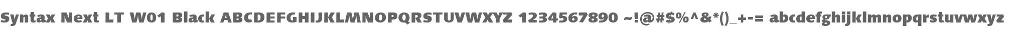 Syntax Next LT W01 Black