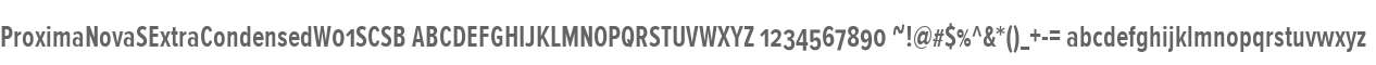 ProximaNovaSExtraCondensedW01SCSB