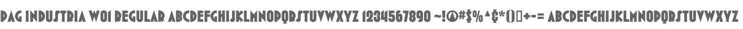 PAG Industria W01 Regular