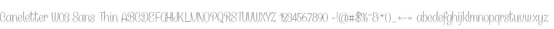 Caneletter W03 Sans Thin