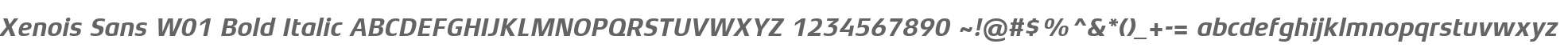 Xenois Sans W01 Bold Italic