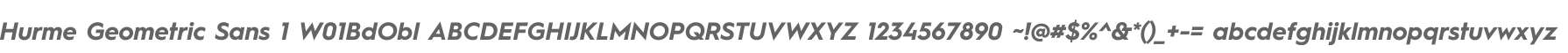 Hurme Geometric Sans 1 W01BdObl