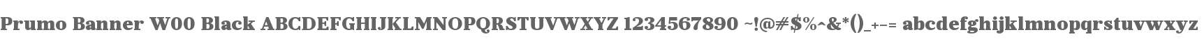 Prumo Banner W00 Black