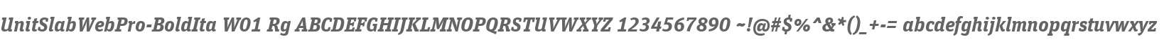 UnitSlabWebPro-BoldIta W01 Rg