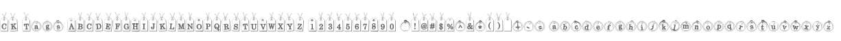 CK Tags