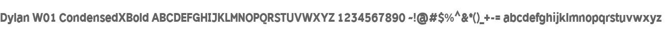 Dylan W01 CondensedXBold
