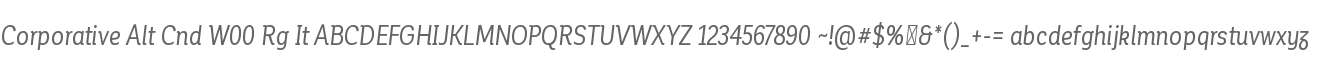Corporative Alt Cnd W00 Rg It