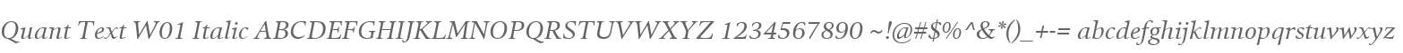 Quant Text W01 Italic