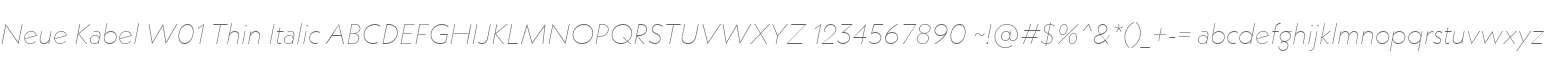 Neue Kabel W01 Thin Italic