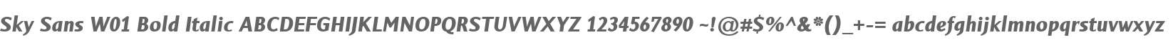 Sky Sans W01 Bold Italic