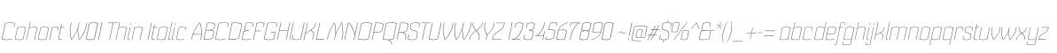Cohort W01 Thin Italic