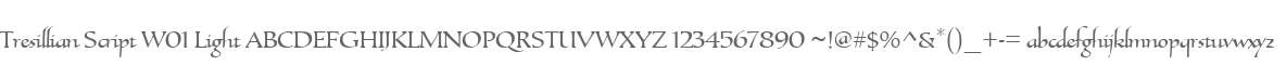 Tresillian Script W01 Light