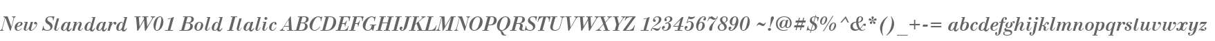 New Standard W01 Bold Italic