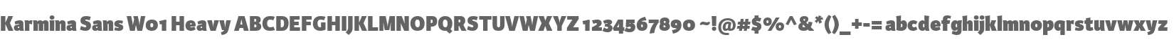 Karmina Sans W01 Heavy