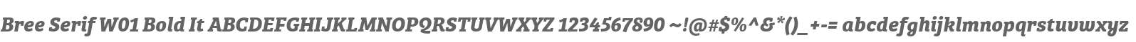 Bree Serif W01 Bold It