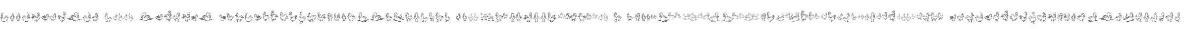 Doodlebirds W00 Regular