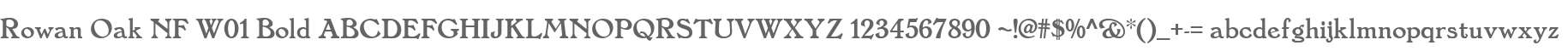 Rowan Oak NF W01 Bold