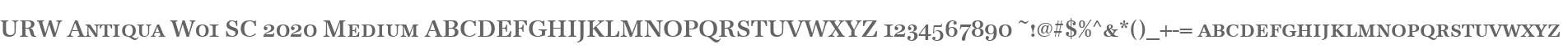 URW Antiqua W01 SC 2020 Medium