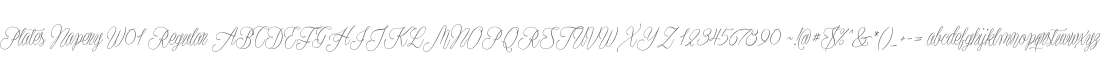 Plates Napery W01 Regular