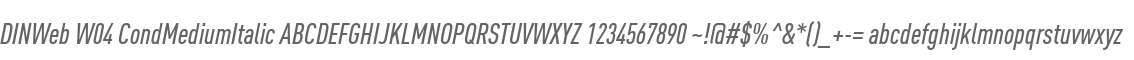 DINWeb W04 CondMediumItalic