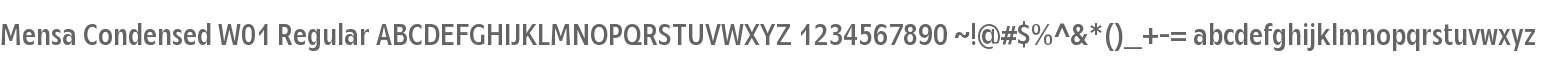 Mensa Condensed W01 Regular