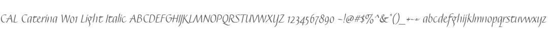 CAL Caterina W01 Light Italic