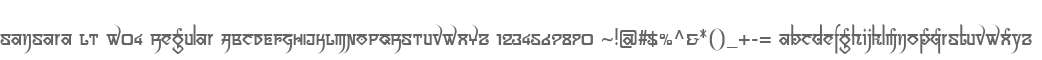 Sansara LT W04 Regular